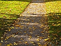 pix 078